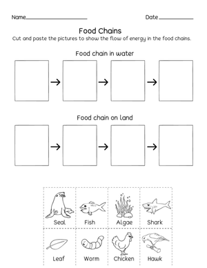 Printable Food Chains Worksheet | Grade 2 Science