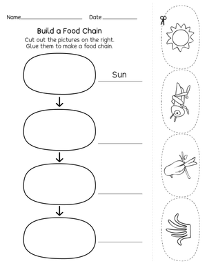 Explore Food Webs and Food Chains