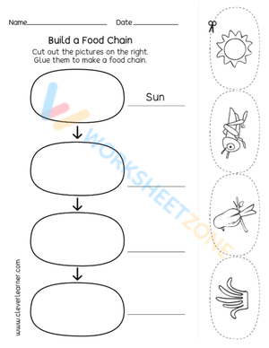 Explore Food Webs and Food Chains
