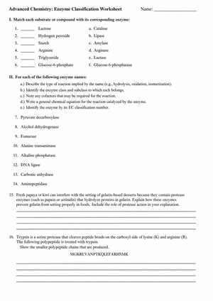Printable Enzyme Classification Worksheet | Grades 9-12