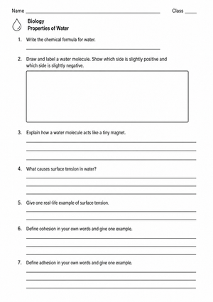 Properties of Water Worksheet | Grade 9 Essential