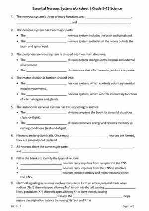 Nervous System Printable Worksheet | Grade 9-12 Biology