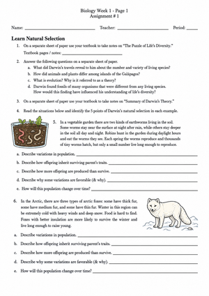 Essential Natural Selection Worksheet | Grade 9-12 Biology
