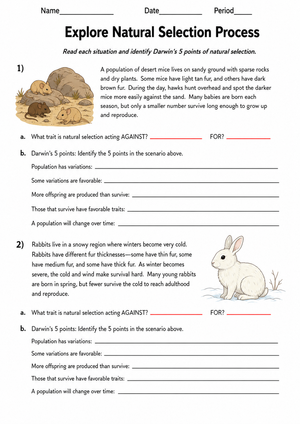 Grade 9 Natural Selection — Printable No-Prep Worksheet