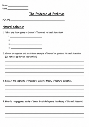 Natural Selection & Evolution Worksheet | Essential Biology