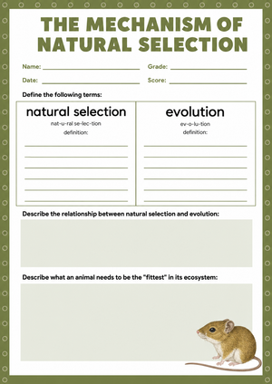 Grade 8 Natural Selection — Printable No-Prep Worksheet
