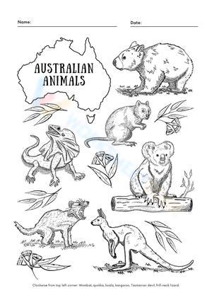 Australian Animals Coloring Activity Worksheet
