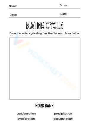 Water Cycle Illustration Worksheet