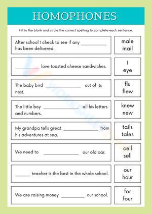 Grade 2 homophones worksheet