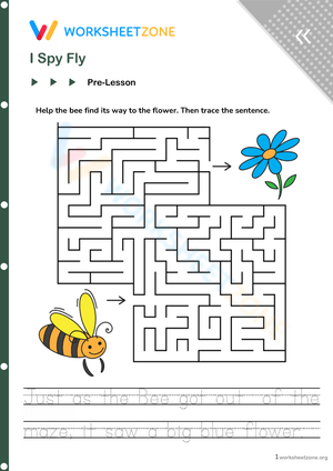English-teaching materials for English teachers - I spy fly!