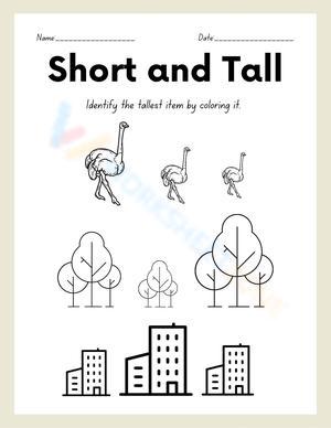 Short and Tall Coloring Worksheet