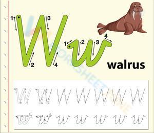 W is for Walrus