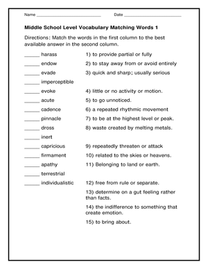 Printable Vocabulary Matching Worksheet | Grades 6-9