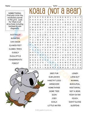 Koala