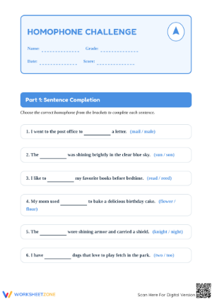 Homophones Practice Worksheet | Grade 2 Essential