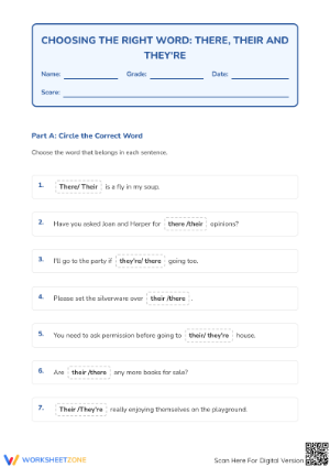 Essential There, Their, They're Worksheet | Grade 2 ELA