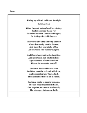 Explore Poetic Devices with this Engaging Poetry Worksheet