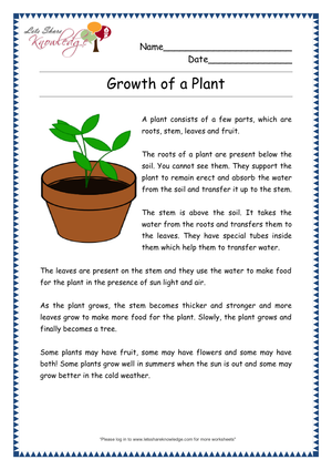 Improve Reading Skills with this Engaging Worksheet