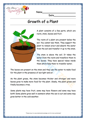 Improve Reading Skills with this Engaging Worksheet