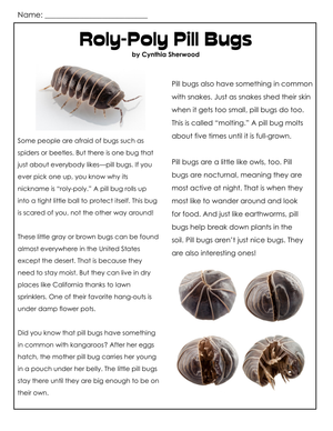 Grade 4 Reading Comprehension — Printable No-Prep Worksheet