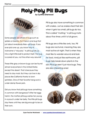 reading comprehension 4th grade 1