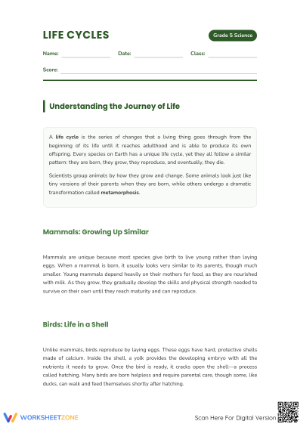 Life Cycles Reading Comprehension | Essential Grade 5 ELA