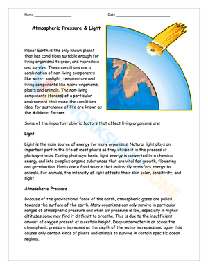 Engaging 4th Grade Science Worksheet for Young Minds