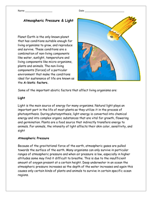 Engaging 4th Grade Science Worksheet for Young Minds