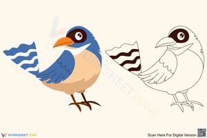 Pretty bird coloring