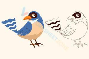 Pretty bird coloring