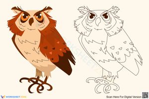 Little owl coloring