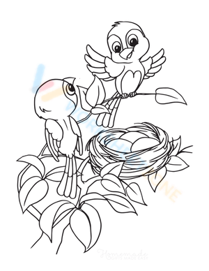 Cute birds with their nest