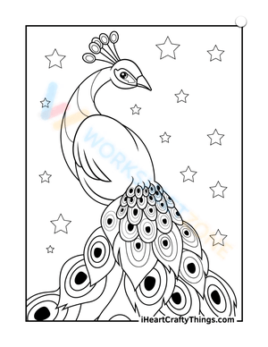 Glorious Peacock Coloring Page
