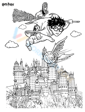 Flying Harry Potter: An Exciting Journey