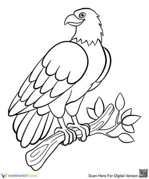 Superior bird
