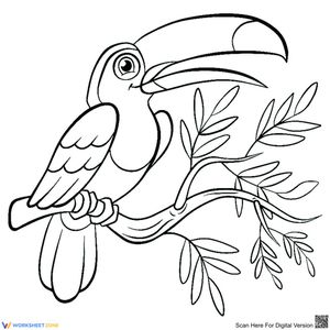 Funny bird