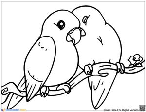 Love birds