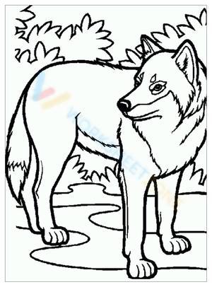 Wolf on the Road: An Animal Adventure