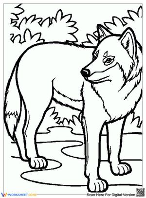 Wolf on the Road: An Animal Adventure
