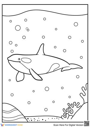 Whale Under Ocean: Marine Life