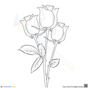 Bouquet of roses