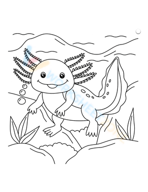 Axolotl Smiling
