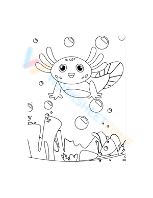 Pretty Axolotl