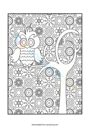 An adorable owl