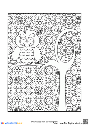 An adorable owl