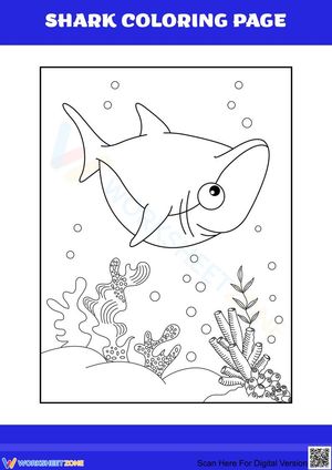 Cute shark