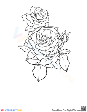 Gorgeous roses