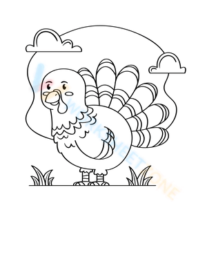 Cute little Turkey