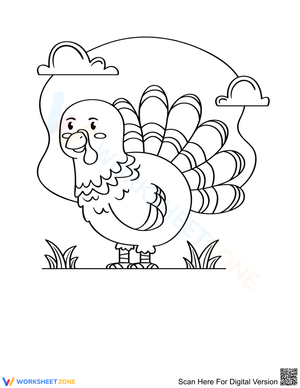 Cute little Turkey