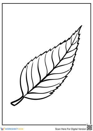 A leaf